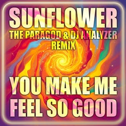 You Make Me Feel so Good (The Paragod & DJ Analyzer Remix)