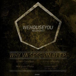 WHY VA Session 01 EP