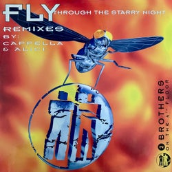 Fly - Through The Starry Night - The Remixes