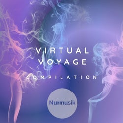 Virtual Voyage