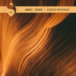 Hidden Movement