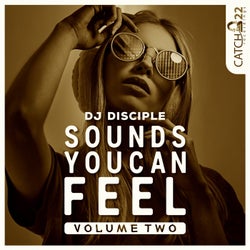 Sounds You Can Feel, Vol. 2