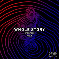Whole Story Of Big Room Vol. 1