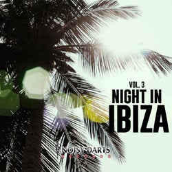 Night in Ibiza, Vol. 3