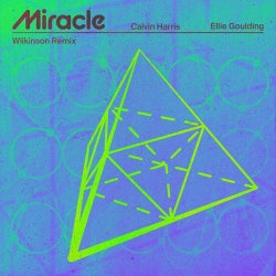 Miracle (Wilkinson Remix)
