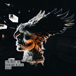 Best of the Year