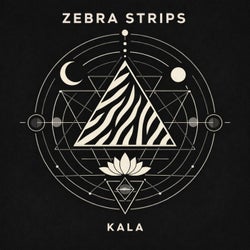 ZEBRA STRIPS