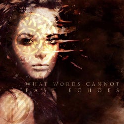 What Words Cannot / Past Echoes