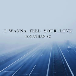 I Wanna Feel Your Love