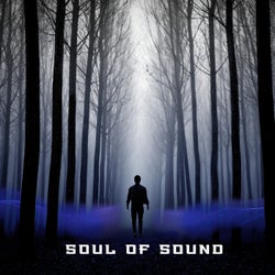 Soul of Sound
