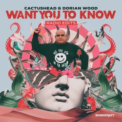 Want You to Know (Radio Edits)