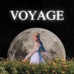 Voyage