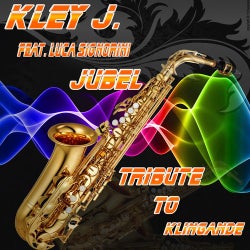 Jubel: Tribute to Klingande (feat. Luca Signorini)
