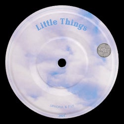 Little Things