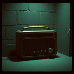 The Velvet Frequency Resistance