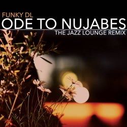 Cover art for Ode to Nujabes (The Jazz Lounge Remix)