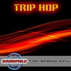 Trip Hop Top Spring 2014