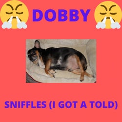 Dobby - Sniffles (I Got a Told)