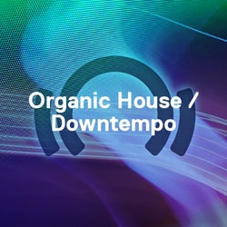Staff Picks 2020: Organic House / Downtempo