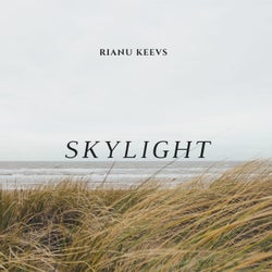 Skylight
