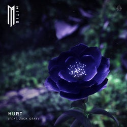 Hurt (feat. Zack Gray)