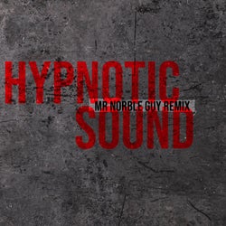 Hypnotic Sound (Mr Norble Guy Remix)