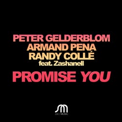 Promise You