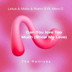 Can You Love Too Much (Show Me Love) [feat. Mico C] [The Remixes]