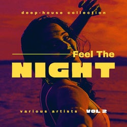 Feel The Night (Deep-House Collection), Vol. 2