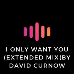 I Only Want You (Extended Mix)
