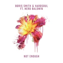 Not Enough (feat. Hero Baldwin) (Extended Mix)