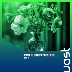 VAST Records Presents, Vol. 3