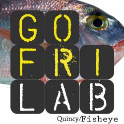 Quincy / Fisheye
