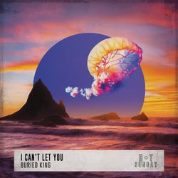 I Can't Let You (Instrumental)