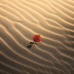 Hope For The Hopeless