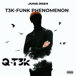 T3K-FUNK PHENOMENON - June 2024