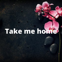 Take Me Home