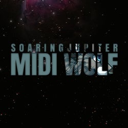 MIDI Wolf