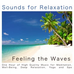 Feeling the Waves(One Hour of High Quality Music for Meditation, Well-Being, Deep Relaxation, Yoga and Spa)