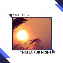 That Jaipur Night