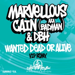 Wanted Dead Or Alive (VIP Remix)