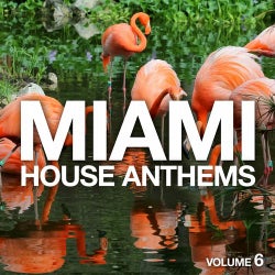 Miami House Anthems Vol. 6