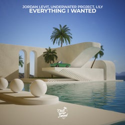 Everything I Wanted