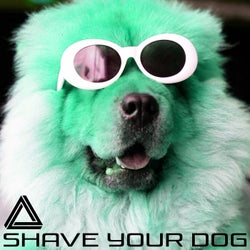 Shave Your Dog