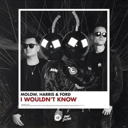 I Wouldn't Know (Extended Mix)
