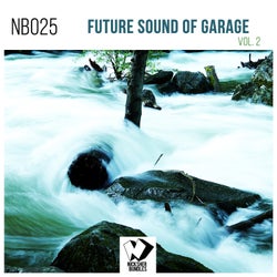 Future Sound of Garage, Vol. 2