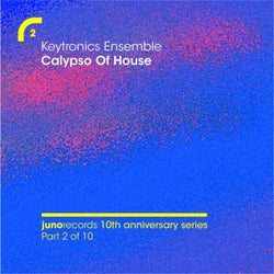 Calypso Of House (Remixes)