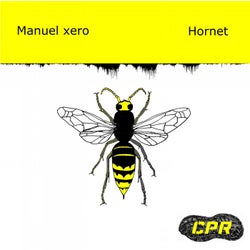 Hornet