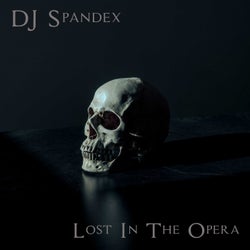 Lost In The Opera