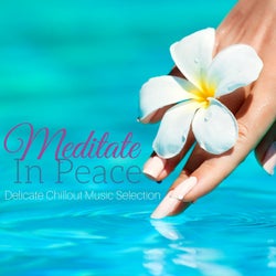Meditate in Peace: Delicate Chillout Music Selection